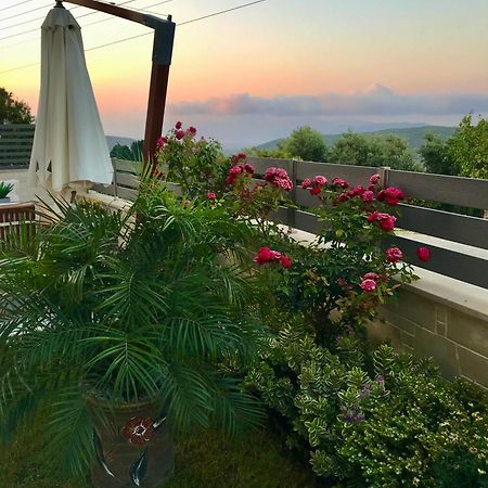 Villa Chryssi Kíssamos Dış mekan fotoğraf